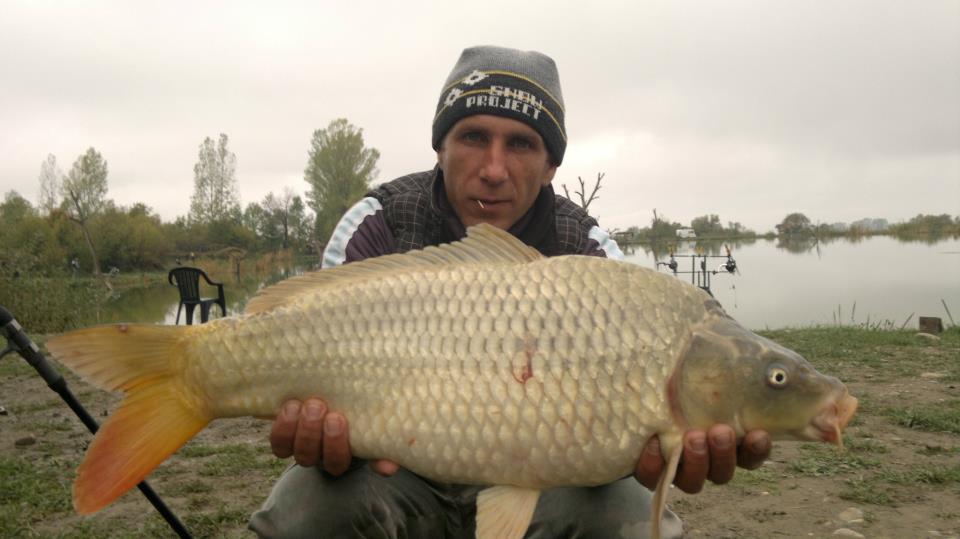 CONCURS LIKE-URI  - VOT PE FACEBOOK  - Dragan Claudiu